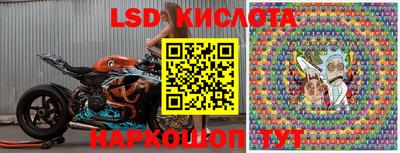 винт Сланцы