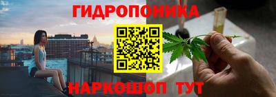 винт Сланцы